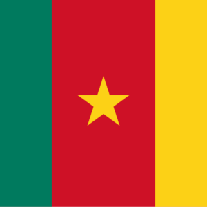 Consecutive Interpretation Arabic to French – Bamenda, Cameroon - Less than 2 weeks