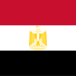 Consecutive Interpretation Arabic to English – Alexandria, Egypt - Less than 2 weeks