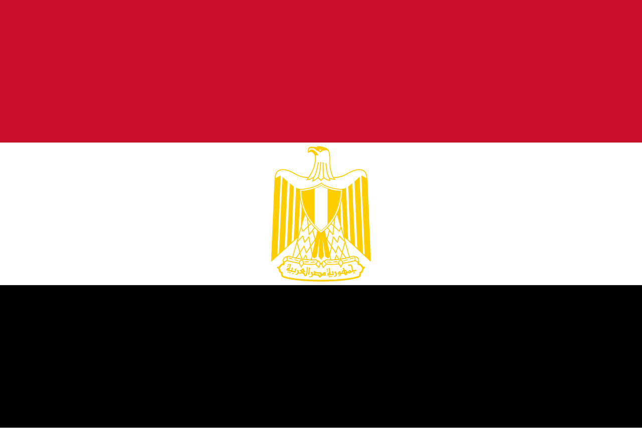 Consecutive Interpretation Arabic to English – Alexandria, Egypt - More than 2 weeks