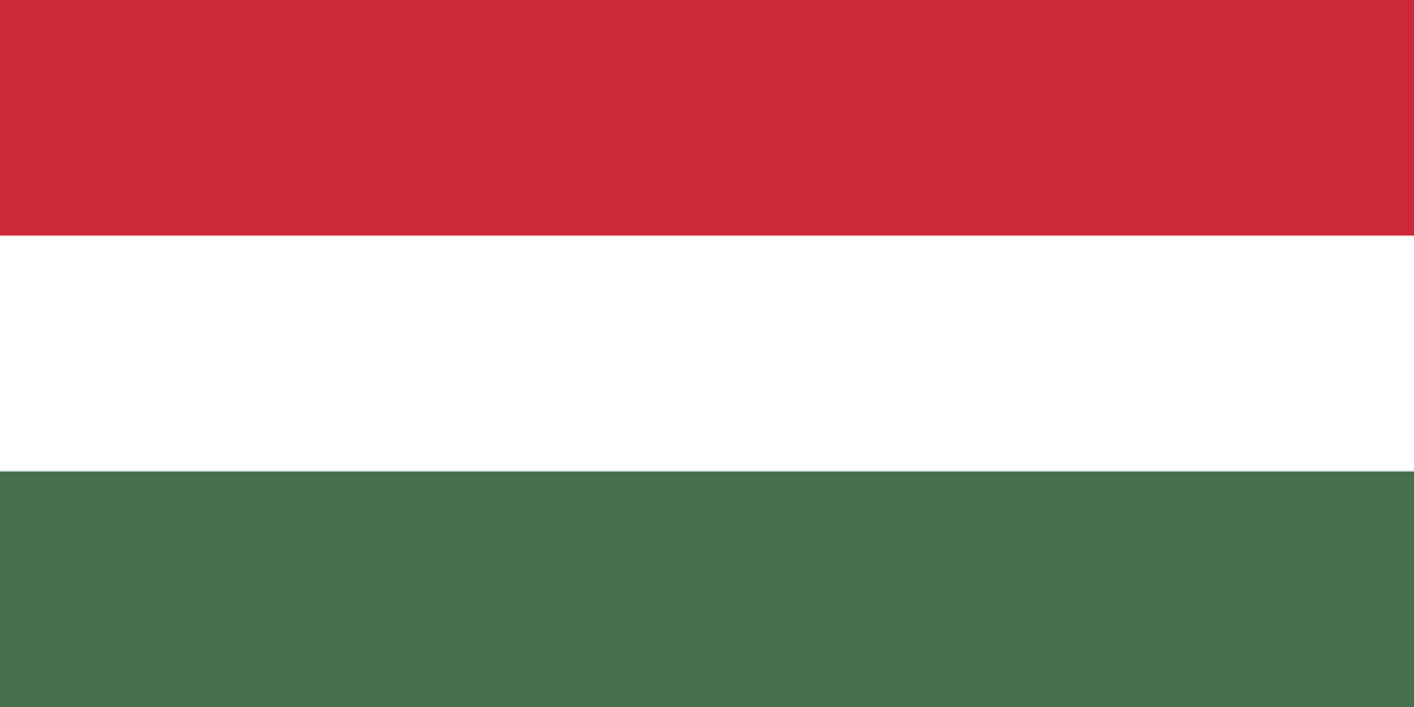 Simultaneous Interpretation Slovak to Hungarian – Pécs, Hungary - More than 2 weeks