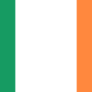 Consecutive Interpretation Arabic to English – Cork, Ireland - Less than 2 weeks
