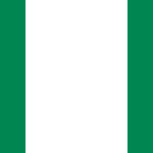 Consecutive Interpretation Arabic to English – Abuja, Nigeria - Less than 2 weeks
