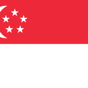 Simultaneous Interpretation Mandarin to English – Tampines, Singapore - Less than 2 weeks