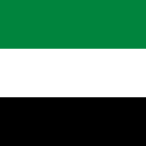 Consecutive Interpretation Arabic to Bengali – Dubai, United Arab Emirates - Less than 2 weeks