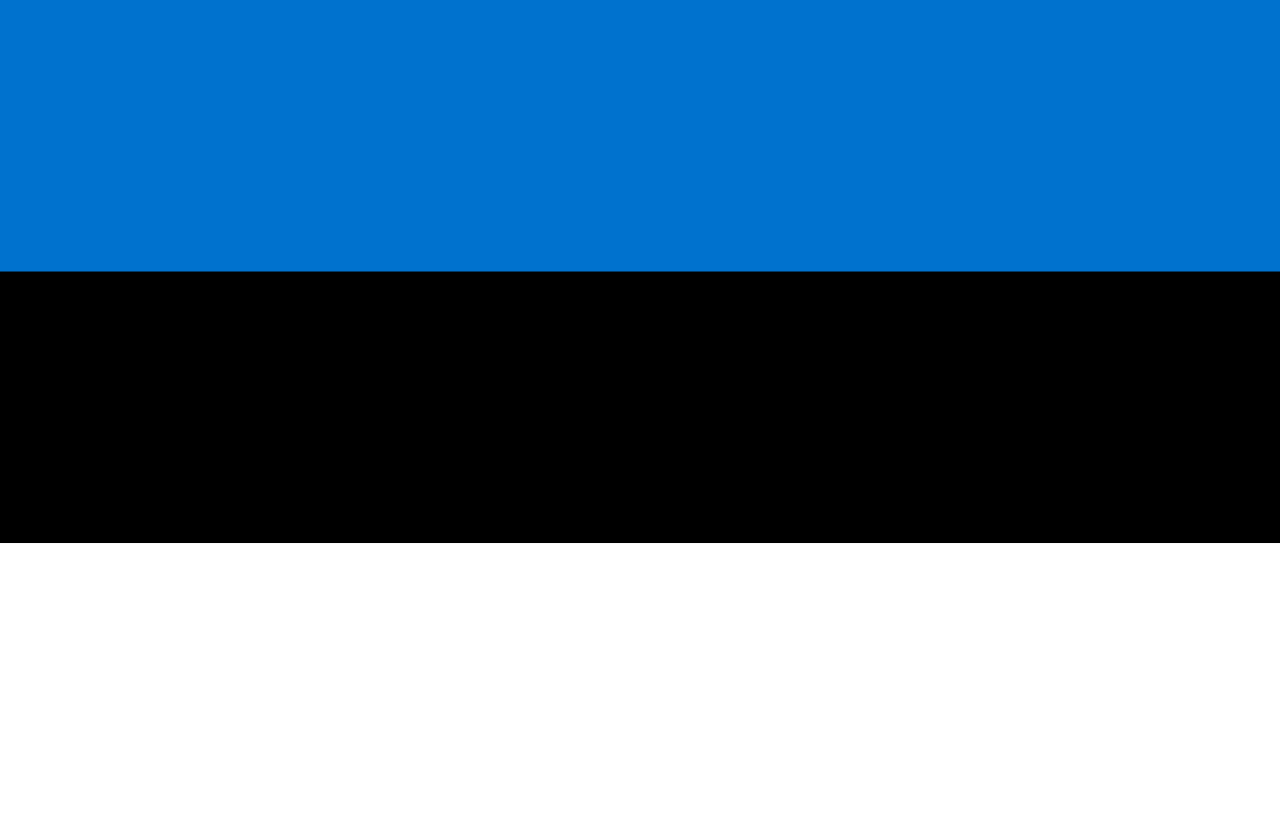 Simultaneous Interpretation Swedish to Estonian – Kohtla-Järve, Estonia - More than 2 weeks