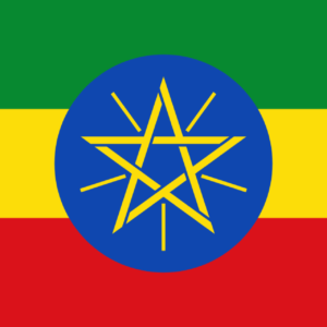 Consecutive Interpretation Amharic to Arabic – Addis Ababa, Ethiopia - Less than 2 weeks