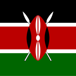 Consecutive Interpretation Swahili to English – Eldoret, Kenya - Less than 2 weeks
