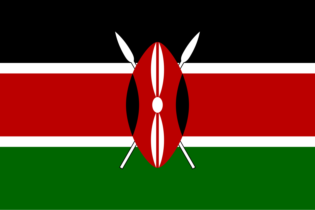 Consecutive Interpretation Swahili to English – Eldoret, Kenya - Less than 2 weeks