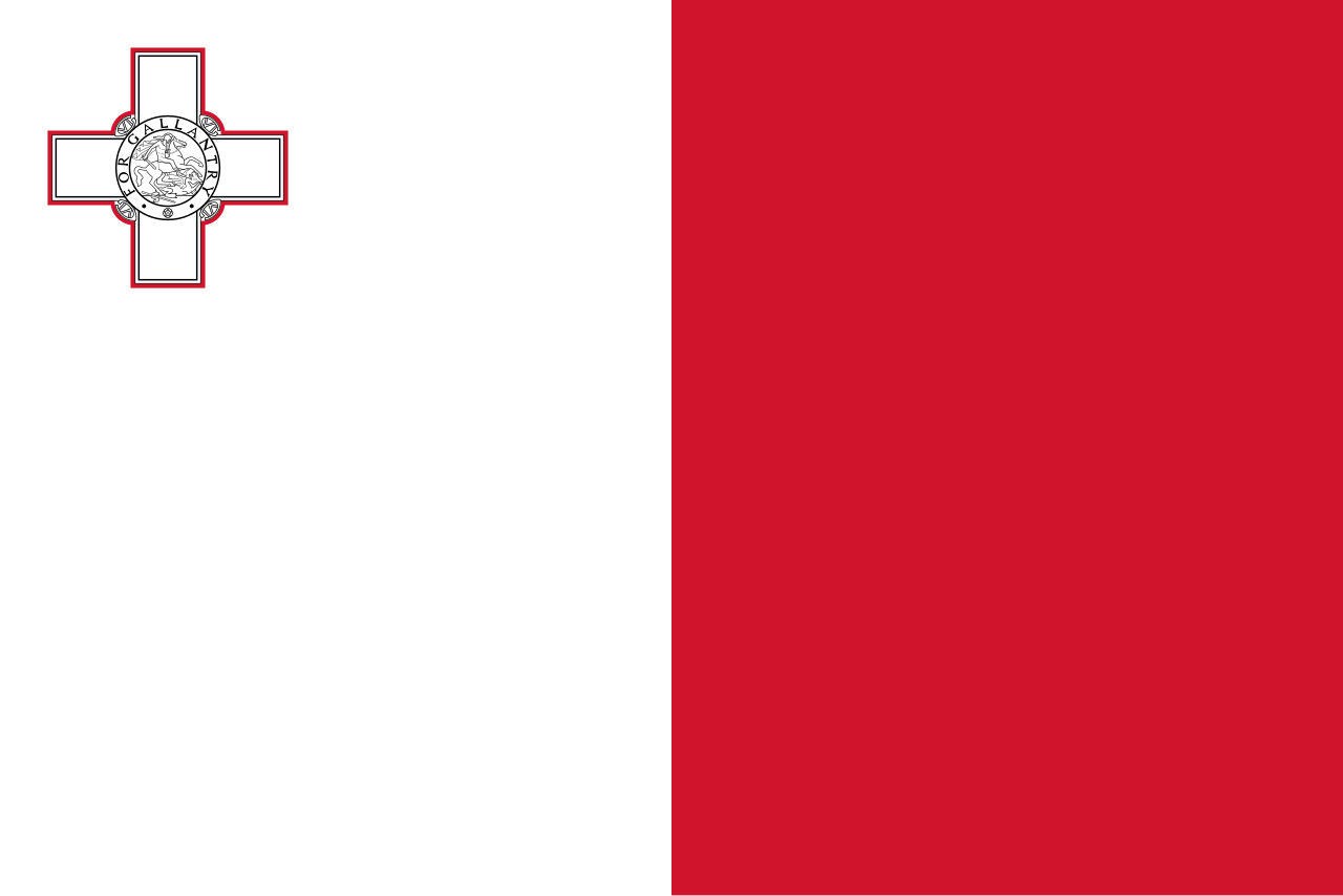 Consecutive Interpretation French to Maltese – Mosta, Malta - Less than 2 weeks