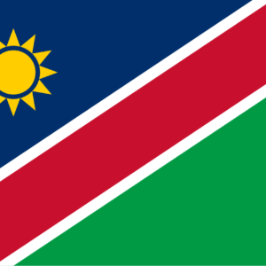 Consecutive Interpretation English to Afrikaans – Oshakati, Namibia - Less than 2 weeks