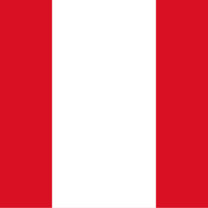 Consecutive Interpretation Spanish to Portuguese – Trujillo, Peru - Less than 2 weeks