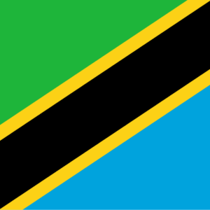 Consecutive Interpretation Swahili to Arabic – Arusha, Tanzania - More than 2 weeks
