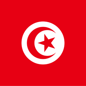 Consecutive Interpretation Arabic to English – Ettadhamen, Tunisia - Less than 2 weeks