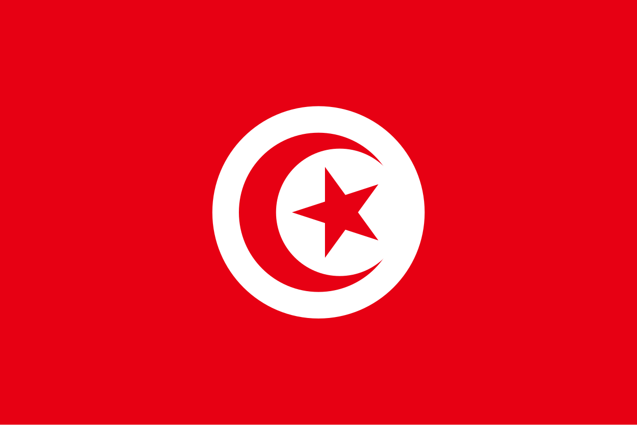 Consecutive Interpretation Arabic to English – Ettadhamen, Tunisia - Less than 2 weeks
