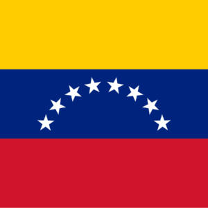 Consecutive Interpretation Spanish to Portuguese – Valencia, Venezuela - Less than 2 weeks