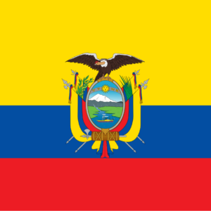 Consecutive Interpretation English to Spanish – Cuenca, Ecuador - Less than 2 weeks
