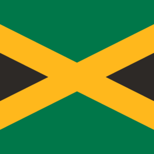 Consecutive Interpretation Chinese to English – Kingston, Jamaica - Less than 2 weeks
