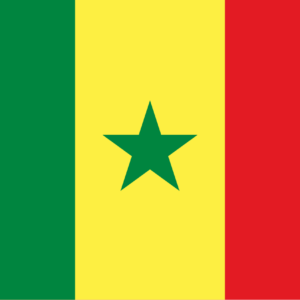 Simultaneous Interpretation Arabic to French – Dakar, Senegal - Less than 2 weeks
