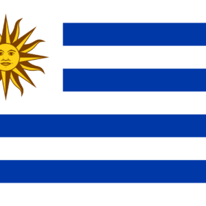Consecutive Interpretation English to Spanish – Ciudad de la Costa, Uruguay - Less than 2 weeks
