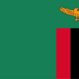 Consecutive Interpretation Tonga to English – Kabwe, Zambia - Less than 2 weeks