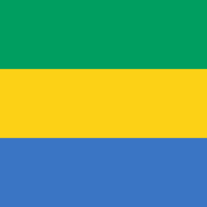 Consecutive Interpretation Portuguese to French – Port-Gentil, Gabon - Less than 2 weeks