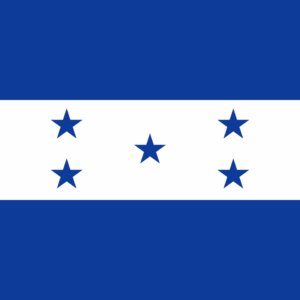 Consecutive Interpretation English to Spanish – El Progreso, Honduras - Less than 2 weeks