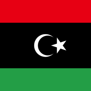 Consecutive Interpretation Arabic to English – Benghazi, Libya - Less than 2 weeks