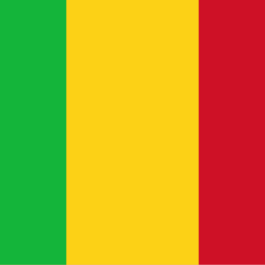 Consecutive Interpretation Arabic to French – Kayes, Mali - Less than 2 weeks