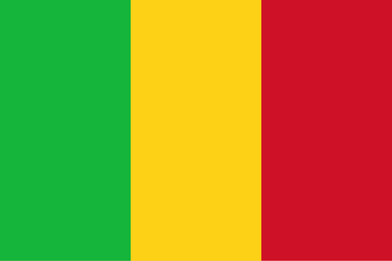 Consecutive Interpretation Arabic to French – Koutiala, Mali - Less than 2 weeks