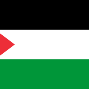 Consecutive Interpretation Arabic to English – Hebron, Palestine - Less than 2 weeks