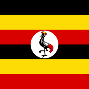 Consecutive Interpretation Arabic to English – Gulu, Uganda - Less than 2 weeks