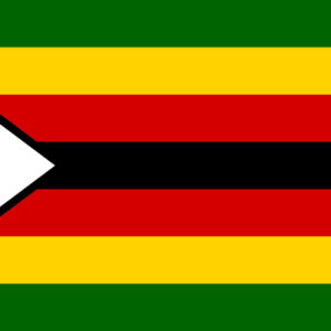 Consecutive Interpretation Shona to English – Gweru, Zimbabwe - Less than 2 weeks